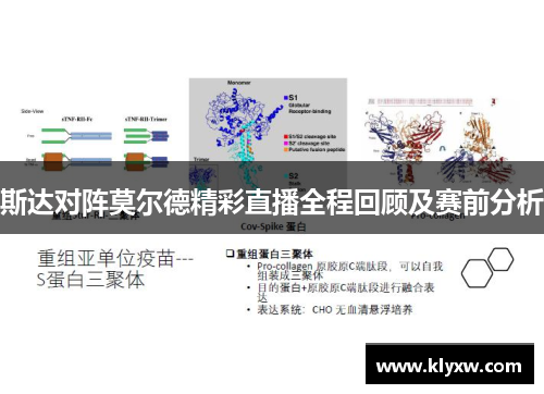斯达对阵莫尔德精彩直播全程回顾及赛前分析